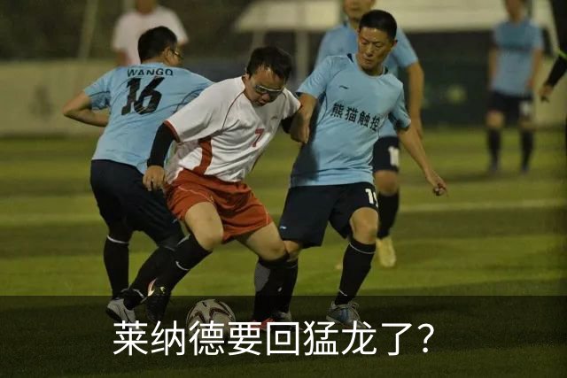 莱纳德要回猛龙了？